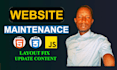fix HTML CSS javascript bugs frontend website development
