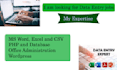 do data entry, excel, CSV, and data cleaning