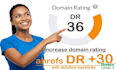 increase website DR 30 ahref