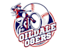 create modern baseball team logo design