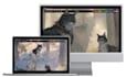 develop cross platform desktop application
