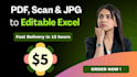 convert PDF, jpg or screenshot into editable excel sheet