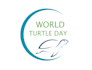 create creative and good looking turtle logo design