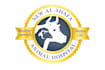 desgin a professional logo