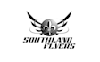 make a professional flying club logo