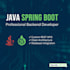 develop a professional rest API using java spring boot
