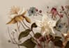 best botanical illustration art