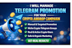 do telegram promotion for your crypto airdrop project, telegram promotion