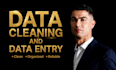 do excel data entry, copy paste, typing, PDF, data entry