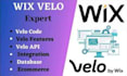 do wix velo custom features, database integration, bug fixes with wix code