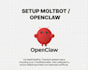 setup moltbot , openclaw for you