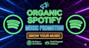 do spotify music promotion through run ads