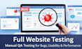 do professional website testing