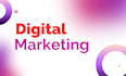 rank your business online