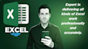 provide professional excel services