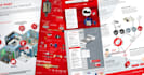 design a professional infographic