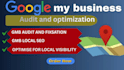 do complete gmb audit and optimization