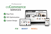 design professional oscommerce, fix bug issues, SEO, website design