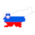 teach you slovenian online