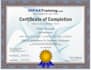 be your certified medical scribe and virtual assistant