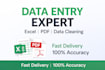 data entry, excel to pdf conversion, data cleaning and formatting