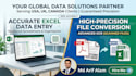 do fast and accurate data entry in excel