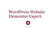 be your elementor expert create or clone any website