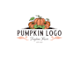 create exclusive and marvelous pumpkin logo design