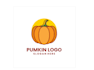 create professional and specially pumpkin logo design