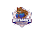 create wonderful and excellent bear logo design