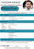 create a professional CV resume and cover leter