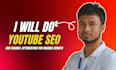 do youtube SEO and channel optimization for organic growth