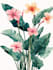 make paint watercolour botanical illustrations
