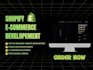 build a professional shopify ecommerce store