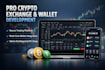 develop a secure crypto exchange, trading bot, or wallet with admin panel