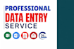 data entry, data entry ms excel