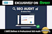 deliver a professional SEO audit