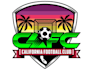 design a professional football logo