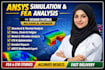 do your ansys project within 24hours