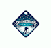 create wonderful and excellent skiing logo design