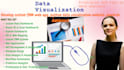 develop custom CRM web app, python data visualization website, powerbi dashboard