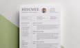design a professional resume or CV