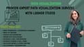 provide expert data visualization services with looker studio