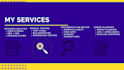 provide manual testing and business analysis services