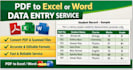 give PDF to excel or word data entry service