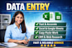 do accurate data entry, excel data entry, copy paste and web research