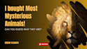 design high CTR youtube thumbnails to boost views