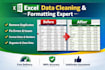 clean, sort and format excel spreadsheet
