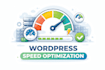 increase performance and SEO on your wordpress websites