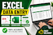 do exact excel data entry, formatting and data cleaning